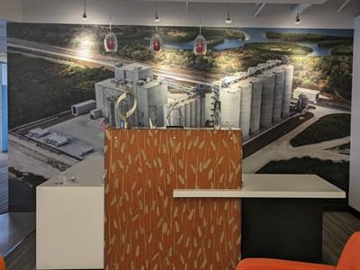 Vinyl Wall Graphics Photo